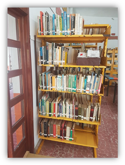 imagen2